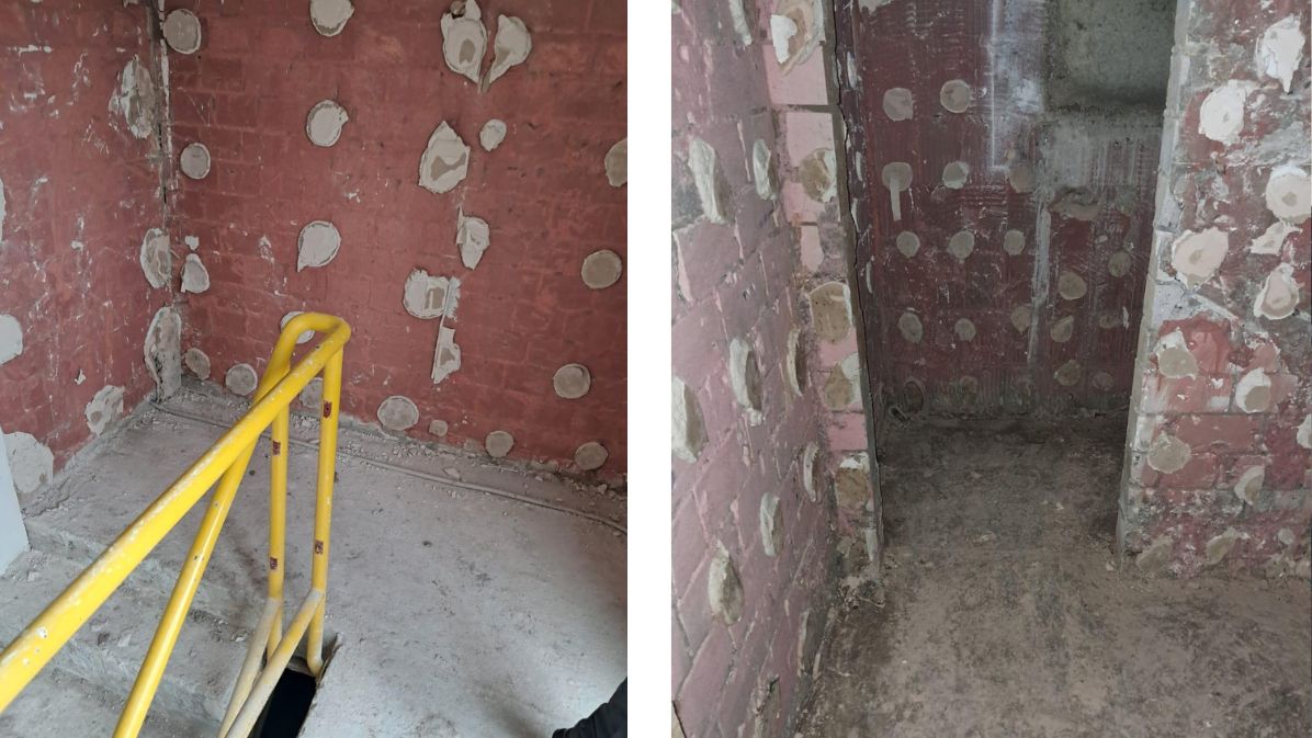 Schimmelsanierung nach TRGS 542